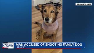 South Shore man accused of killing family dog while hunting coyotes from his window