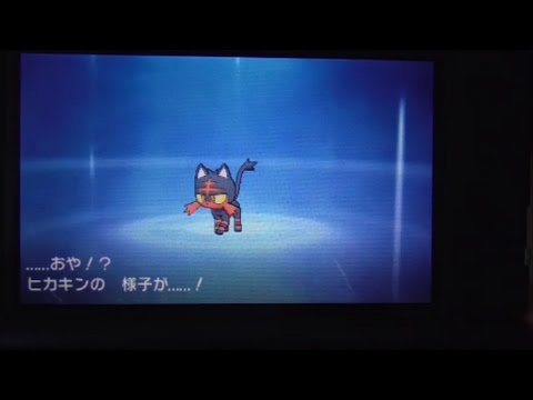 ポケモン ムーン ニャビー進化の瞬間 ポケットモンスター サン ムーン Youtube