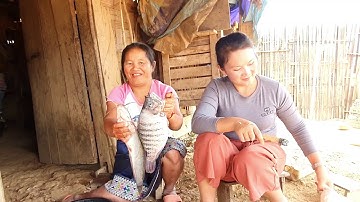 maiv lis tseev ntse kuv kaus qos ntoos pub qaib