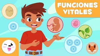 Las FUNCIONES VITALES de los SERES VIVOS  Relación, nutrición y reproducción  Ciencias para niños