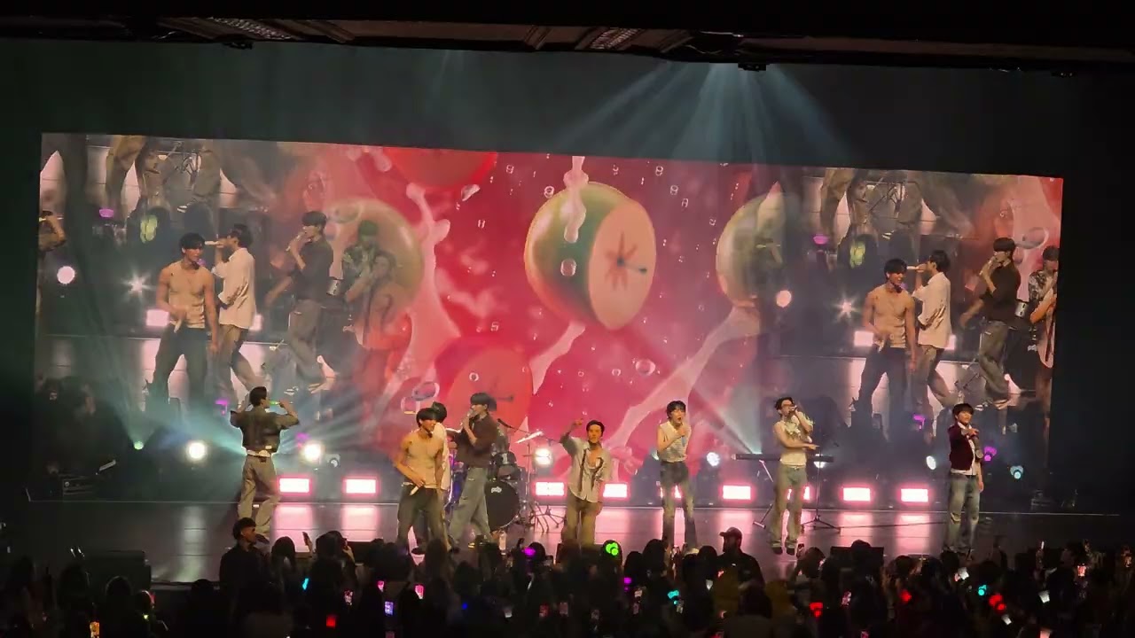 Nectar - The Boyz - The Chicago Theater - 140925