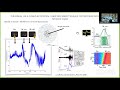 Metastability and traveling waves in monkey premotor cortex during motor decision tasks