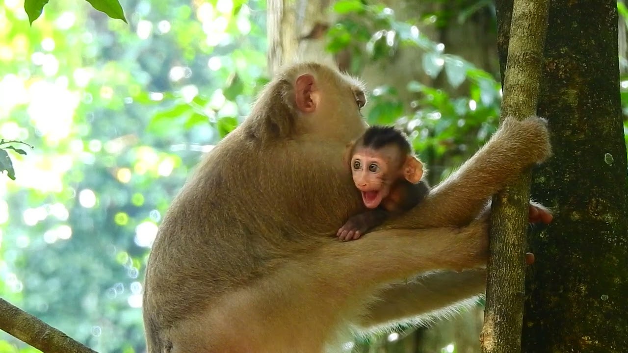 Jane's Mother can take care of people who have a lift that she can