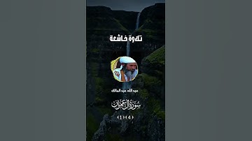 تلاوة شنقيطية أصيلة