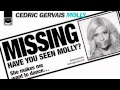 Miniature de la vidéo de la chanson Molly (Danny Howard Mix)