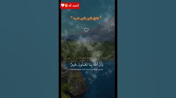 " القرآن الكريم راحة نفسية🤍🖖 ( مقطع ديني ) #المصحف #القزابري #الرحمن