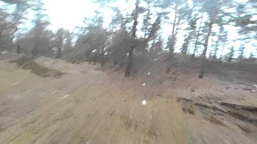 QAV180 through the trees