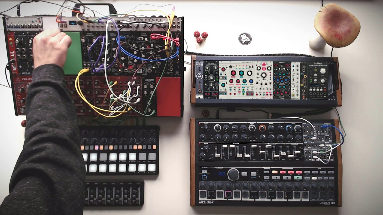CoffeeShop Morphagene Mimeophon VCV Rack MiniBrute 2s Neutron coffeeshop-morphagene-mimeophon-vcv-rack-minibrute-2s-neutron