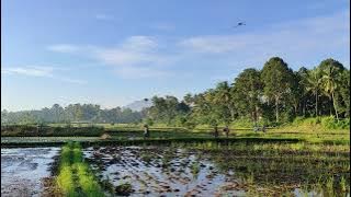 Suasana Pagi yang Cerah di Desa nan Indah