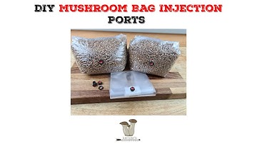 DIY Self Healing Injection Port Spawn Bags | Homemade Mushroom Bag Injection Ports