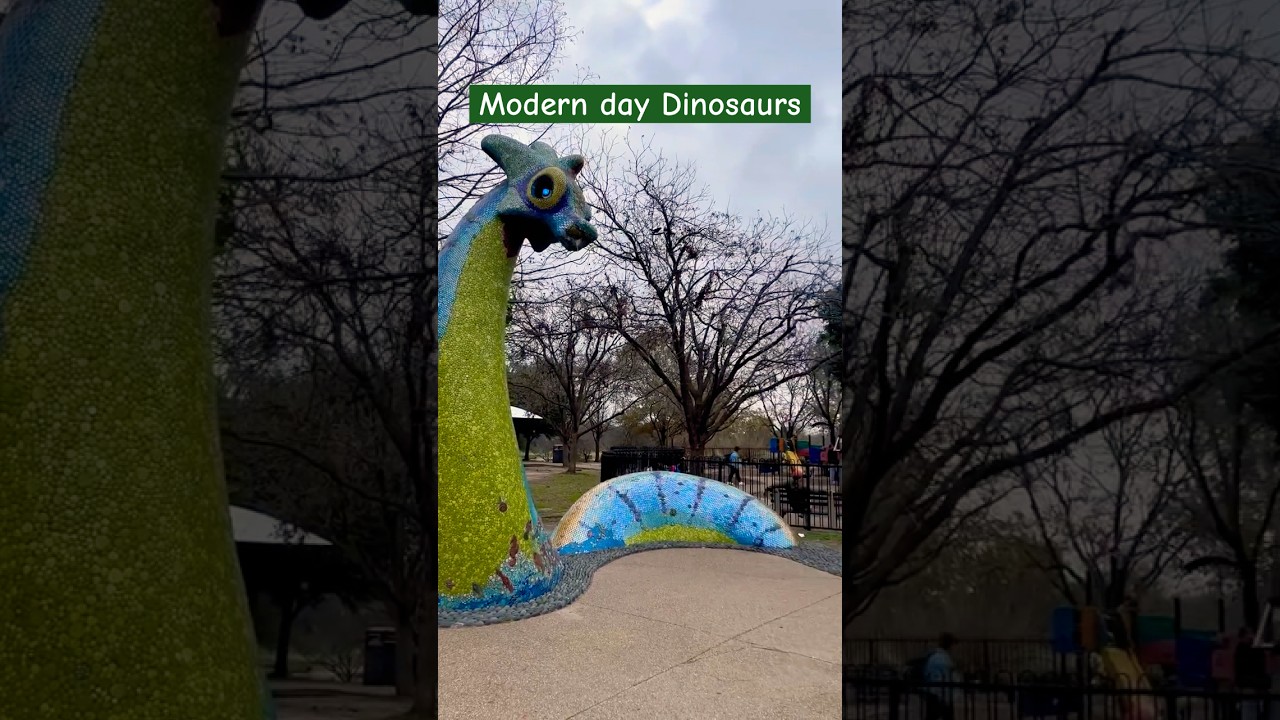 BEST Park in Austin | Birds of Mueller Lake Park 