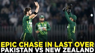 Full Highlights | Pakistan vs New Zealand | T20I | PCB | M8C2A