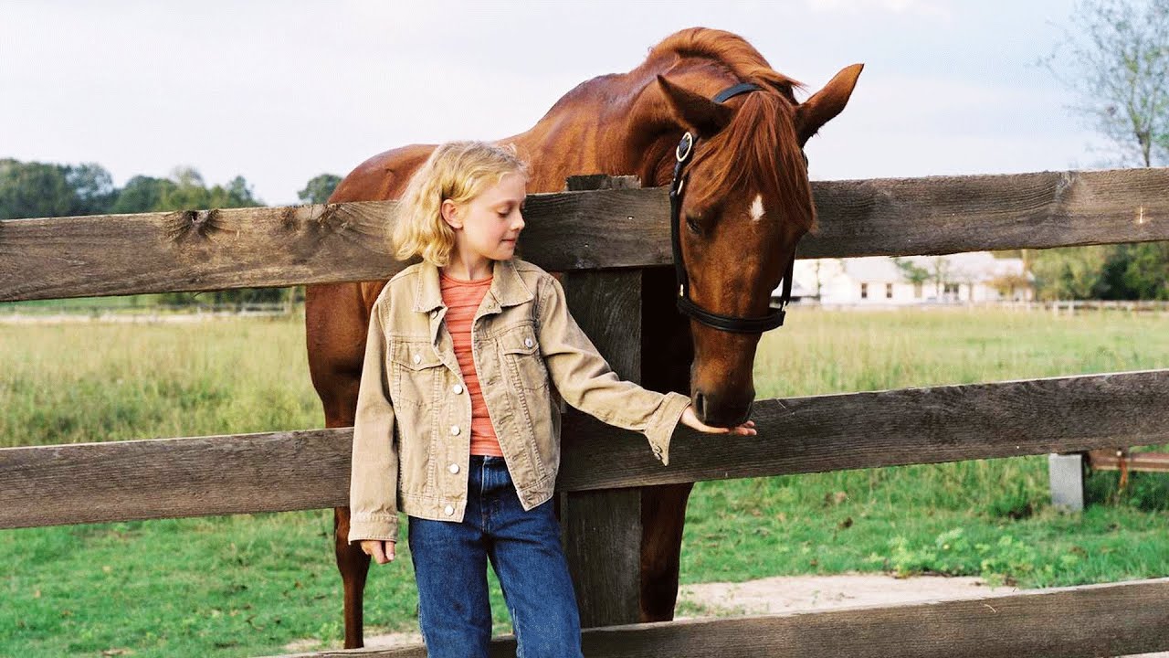 断腿马奇迹般痊愈后，疯狂奔跑拿下1400万美金大奖，这就是梦想的力量，20分钟看完2005年运动励志电影《梦想奔驰》