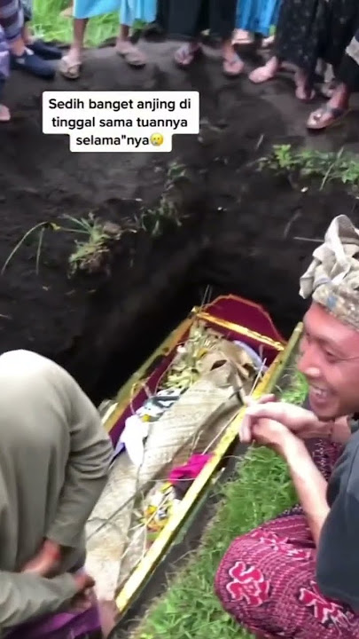 Ekpresi Anjing Saat Ditinggal Mati Majikan I Anjing Menagis I Sedih Dan Bikin Terharu