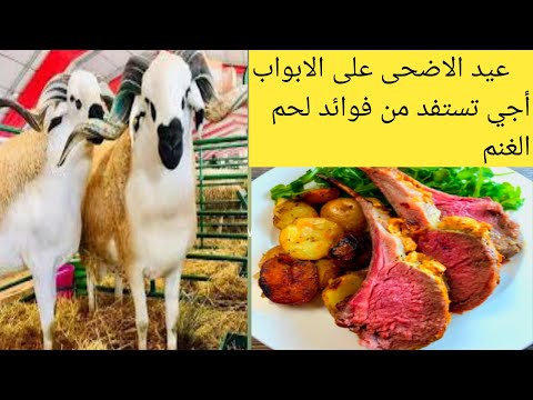 أهم فوائد لحم الغنم و القيمة الغذائية التي يحتوي عليها إستفد من مناسبة عيد الاضحى واكتسب صحتك
