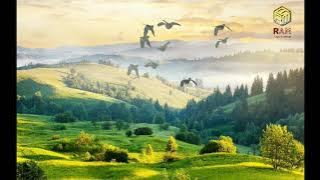 Seng Ni (Myanmar Translation) Kachin Love Song