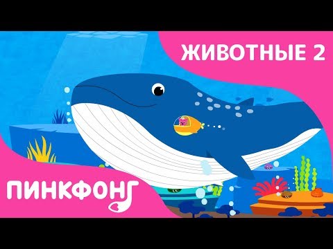 Синий кит мультфильм