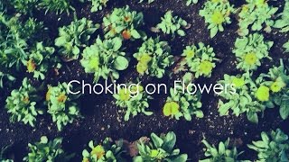 Choking On Flowers
