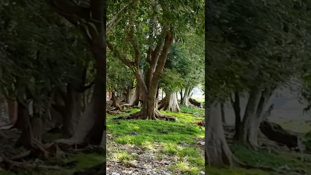 Enjoy the Natural sound and visual at Biligundlu ||