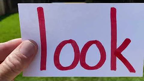 Professor Ginger and Axle and the Word Look