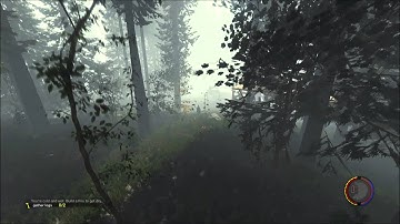 The Forest - Flying log sled