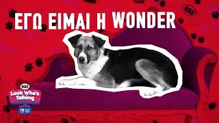 Η ιστορία της Wonder (δια στόματος DEMY) | Look Who's Talking