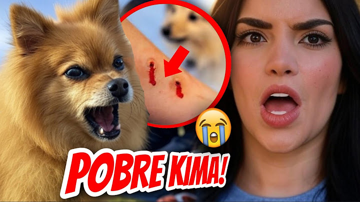 LA M0RDIERON! 🔴😱 (KIMA Y JUANITO SUFREN POR CULPA DEL JUKITO) 🐕 Y A KIMBERLY LOAIZA