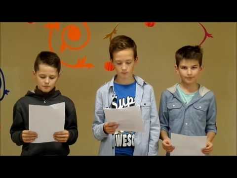 Video: Dzīvnieku čempions