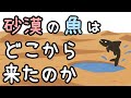 【犯人は誰】砂漠の水に住む魚はどこからやってきたのか？