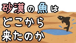 【犯人は誰】砂漠の水に住む魚はどこからやってきたのか？