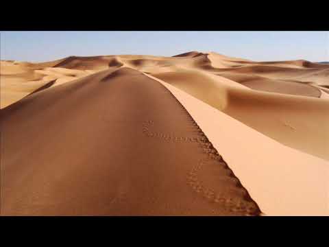 Guy J - Lamur (Original mix)