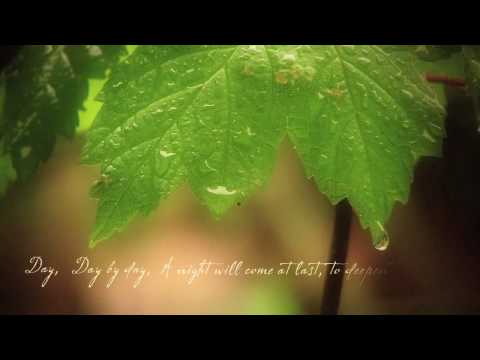 Falling with the Rain on Vimeo