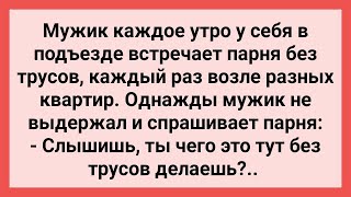 Мужик Каждое Утро Встречал Парня без Трусов! Сборник Свежих Смешных Жизненных Анекдотов!