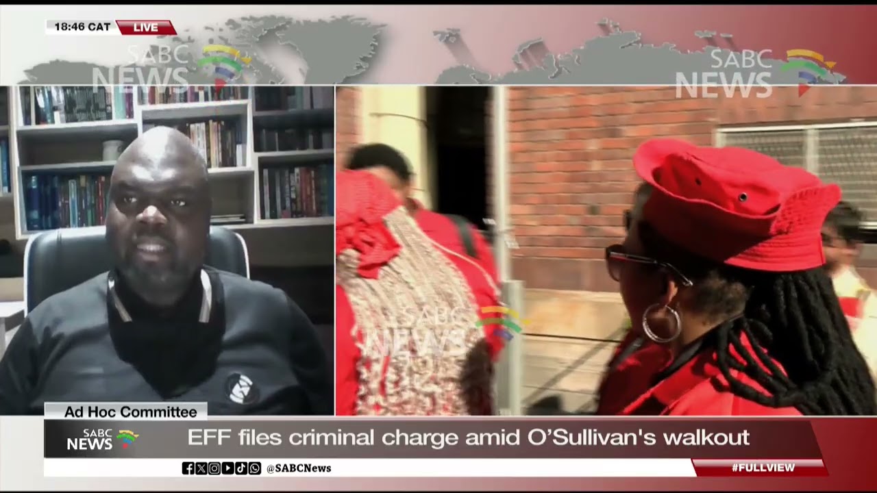 Ad Hoc Committee | Witnesses need to be respected: Lufuno Nevondwe