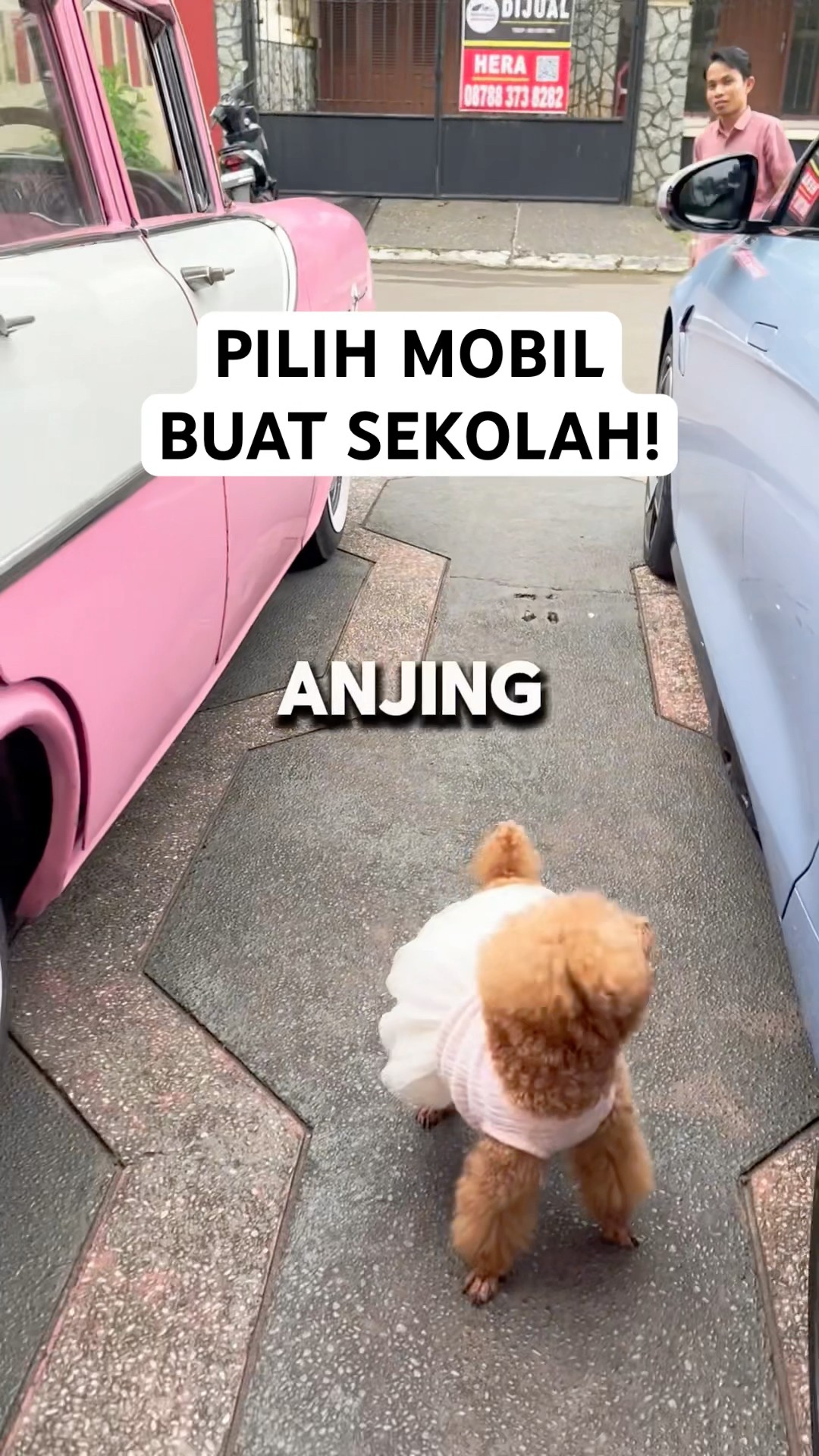 PILIH MOBIL BUAT SEKOLAH!