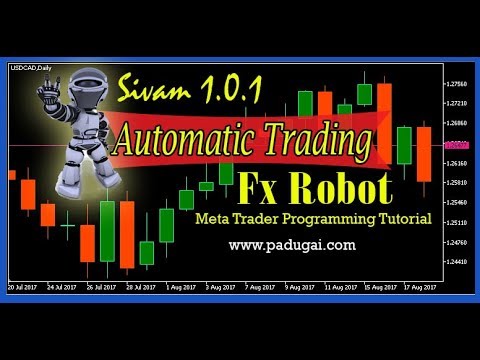 Forex robot programming