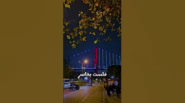 الصمت حكمة وقليل فاعله Shorts 