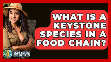 What Is A Keystone Species In A Food Chain? - Ecosystem Essentials