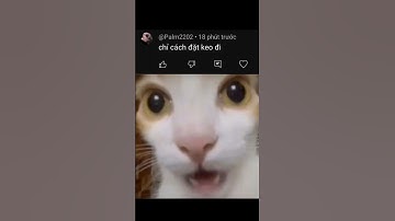 Hướng Dẫn Anh Em Cách Đặt Keo🤡 #freefire #garenafreefire #shorts #videoshort