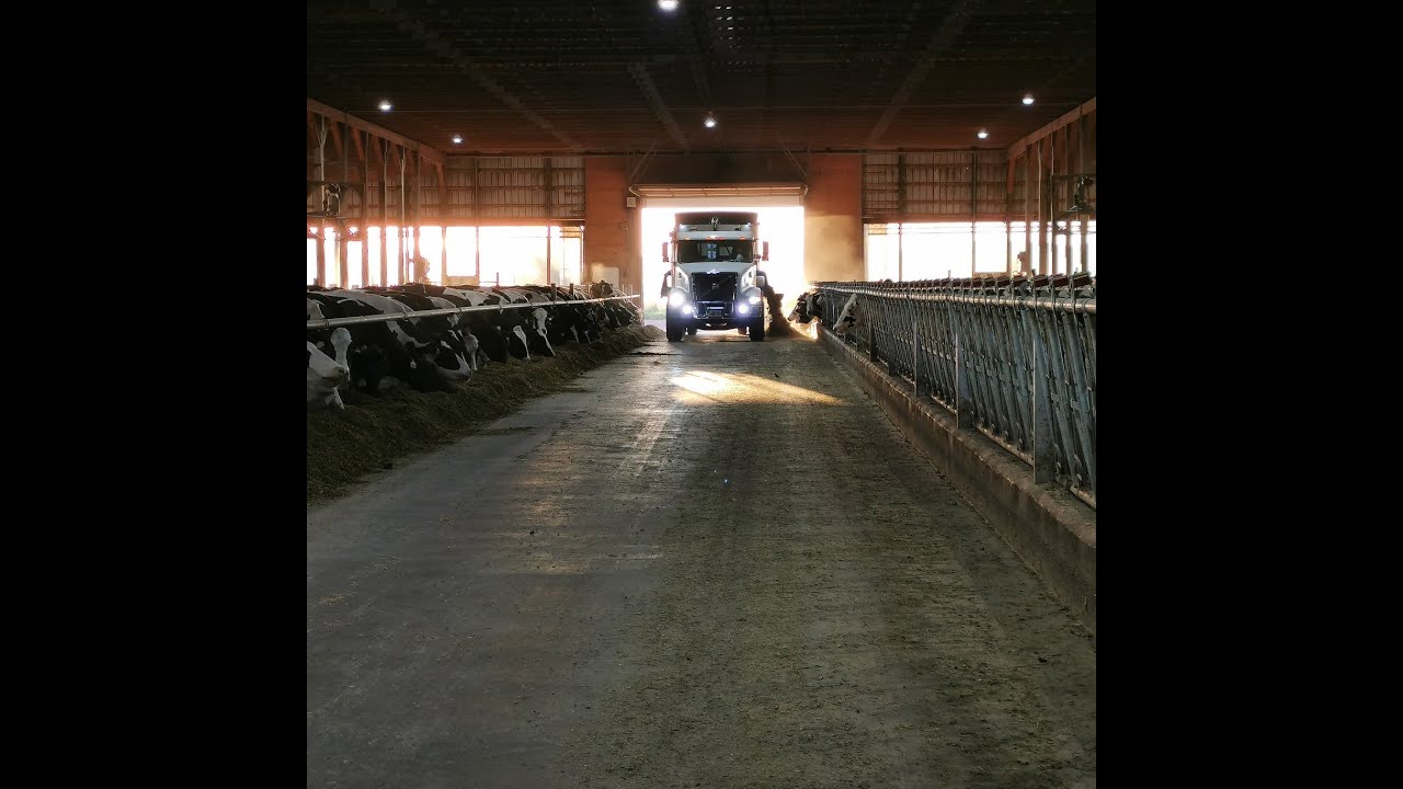 تعالي اقولك اذاي في ربع ساعه تقدر تتابع كل التغذيه في مزرعتك