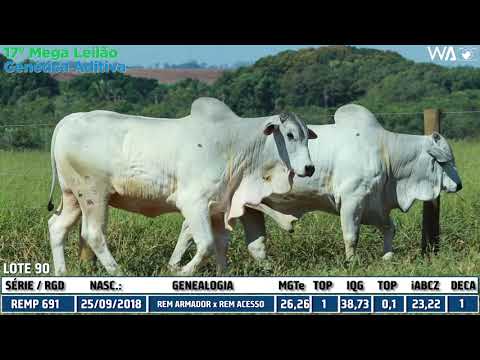 LOTE 90 - DUPLO - REMP 685, REMP 691 - 17º Mega Leilão Genética Aditiva 2020