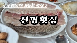 동해바다 모듬회 맛집 #신명횟집