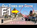 OUR TREES ARE GONE!  LAS VEGAS STRIP . ARE THEY GONE FOREVER?