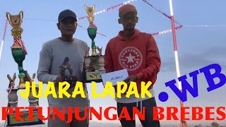 Juara Lapak Wiraguna Bersatu Petunjungan Brebes Kaisar Dari Teammjmbyquen Merpati Tgl 22Juni2020