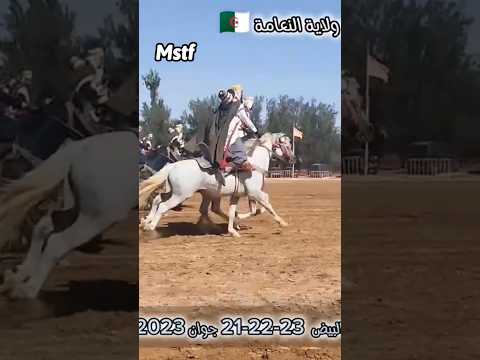 علفة إسماعيل أمين المشرية ولاية النعامة