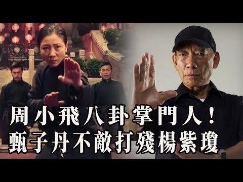 袁和平稱周小飛是八卦掌門人！當之無愧的功夫女王，甄子丹不是其對手，八卦掌打殘楊紫瓊