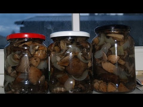 Жареные грибы на зиму