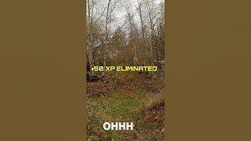 Check Out This Binary Trigger Test - Is it Too Much or Just Right?