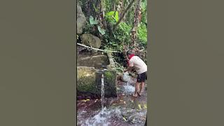 Air 7 pancuran viral di pedesaan