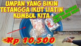 umpan ikan mas raja udang ‼️‼️Bikin ulah, gacor cuyyy